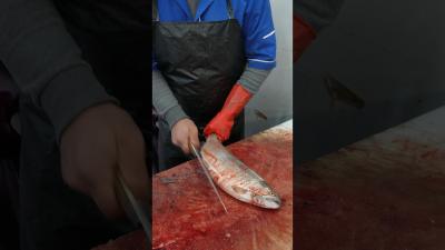 How to Gut and Fillet Fish the European Way
