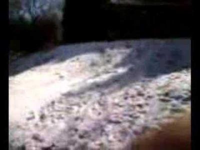 Jimmy Sledding
