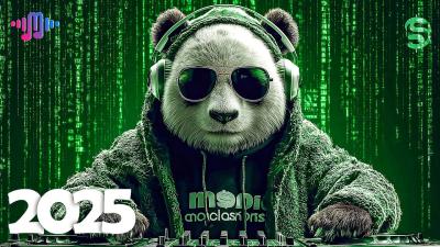 Music Mix 2025 EDM Mashup Mix 2025 EDM Remixes of Popular Songs