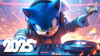 Music Mix 2025 EDM Mix of Popular Songs EDM Gaming Music 165