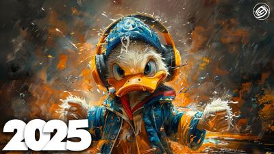 Music That Make You Feel BADASS EDM Remixes of Popular Songs EDM Music Mix  Bass Boosted