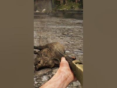 Part 58 Learn great survival skills  shorts