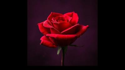 Salomé A Tragedy in One Act  Audiobook
