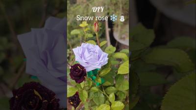   Snow Rose Handmade Paper Flower Tutorial  Step by Step DIY Craft Art papercrafttutorial