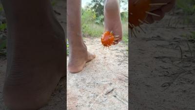Survival Skills SMART idea and USEFUL with single mom bushcraft camping outdoors