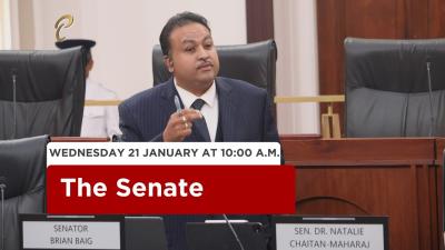 17th Sitting of the Senate  1st Session  13th Parliament  January 21 2026