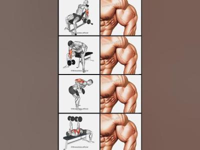 Arm Workout Using Dumbbells ① Incline Curl ② Concentration Curl ③ Kickback ④ Tate Press 3 sets 12