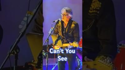 Cant You See  The Marshall Tucker Band  Real Live Gig Cover by Knox Boombox livemusic