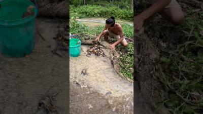 Crabs and fish fishing rivercrab fish crabgrass