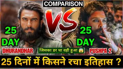 Dhurandhar Box Office Collection Dhurandhar vs Pushpa 2 Comparison Day 25 Akshay Khanna Ranveer S