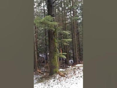 Dirt Road on Mountain in Winter Mountains nature