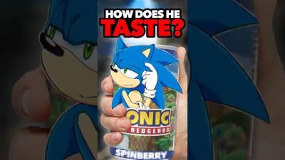 I Tasted Sonic The Hedgehog