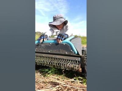 Peaceful Lawn Mowing Video That Feels Strangely Relaxing