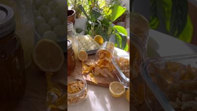 Preserving Lemons