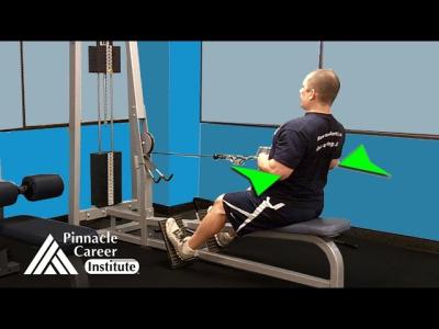 Seated Row Machine  Low Cable Row  Exercise Technique Lab