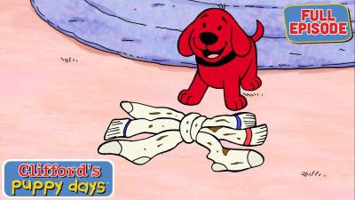 Sock It to Me  Full Episode  Cartoons for Kids  Cliffords Puppy Days