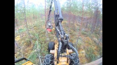 Tigercat H09 Logmax 4000 flerträdshantering