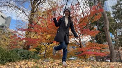 Tokyo Live  New Years Week in Japan Shrine Visits Sus Akiba  More 