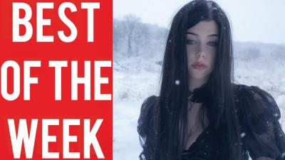 Top Wild Funny Fails to Light Up Your Day Funny Compilation January 2026