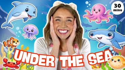Under The Sea with Ms Ash  Ocean Songs Shapes Sea Animals Counting  Colors for Toddlers