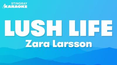 Zara Larsson  Lush Life Karaoke Version