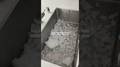 AMAZING hack for a clean sink cleaningtips cleaninghacks cleantok cleanwithme cleantok