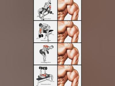  Arm Workout Using Dumbbells ① Incline Curl ② Concentration Curl ③ Kickback ④ Tate Press 3 sets 12