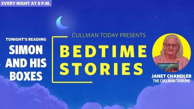 Bedtime Stories  Janet Chandler reads Simon And His Boxes