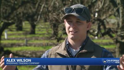 California Politics 360 Full Interview  Pear grower Alex Wilson