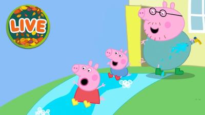  LIVE 247 Peppa Pig NEW Tales 2026  BIG Adventures  Full Episodes  Cartoon for Kids