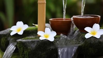  LIVE Yoga Music with Flowing Water Calm Practice Steady Breath  Deep Focus