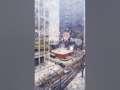 Major Winter snow storm in frozen Chicago whitenoiseforsleeping chicago chicagoambience