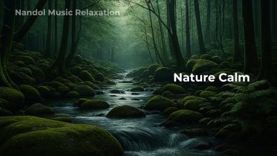Night Time Music for Sleep Soft Piano  Strings to Reduce Anxiety and Stress Instantly