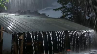 Rain and thunder ambience for mental relaxation  Natural white noise to ease your worries