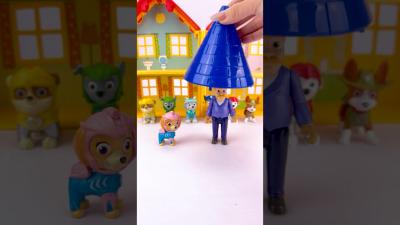 Relaxing Unboxing Experience with Paw Patrol Toy for US Collectors pawpatroltoys pawpatrol