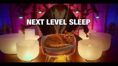 THE BEST SLEEP MUSIC EVER MADE