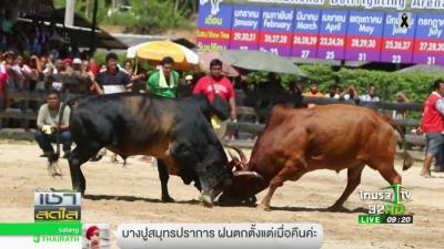 ศกชนโคสงขลา เดมพน 24 ลาน  270360  ขาวเชาสดใส