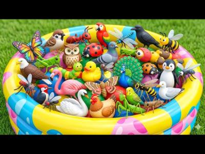 30 Insects Bugs  Birds Name for Kids  Learn Animals Names  Toy vs Real  Animals for Toddlers