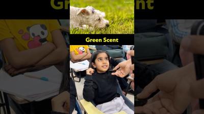 Advanced English Words for Smells  Speak Fluent English in 2026 englishbuzzenglishvocabuluary