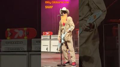 Billy Gibbons Sharp Dressed Man Live Winterbach 2023 shorts shortsfeed zztop live