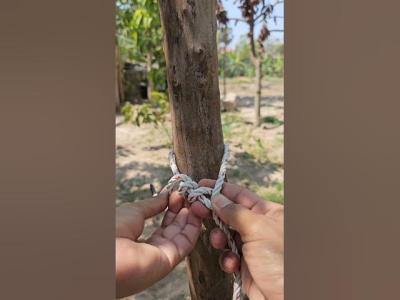 Essential Rope Knots In Everyday Life Hacks