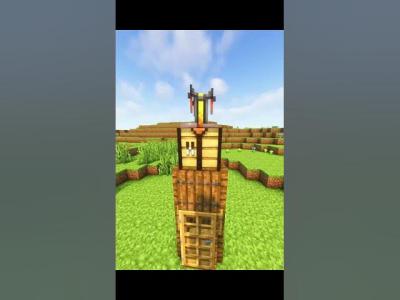 Minecraft 1X1 House shorts