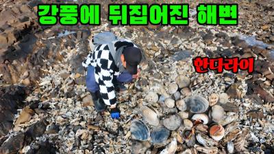 한파 속 파도가 뒤집어진 해변 줍기만 해도 대박납니다
