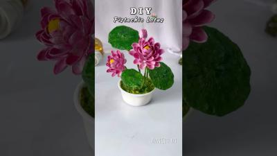 Pista shells Lotus craft viralshort handmade shortsviral diycrafts pistashellcrafts lotus