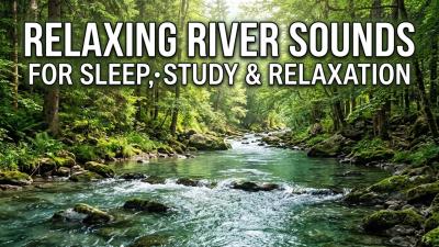 Soothing Forest Ambience with Relaxing Water Flow for Study Meditation Inner Peace and Stress Relief