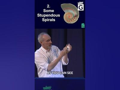 The Nautilus Spiral Mathematical Secret