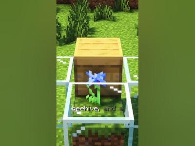 The Simplest Automatic Honey Farm in Minecraft