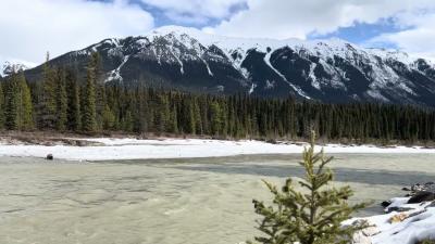 4K Mountain River Flowing Sound. Spring Rocky Mountain  Relaxing  Nature Sounds mountains river