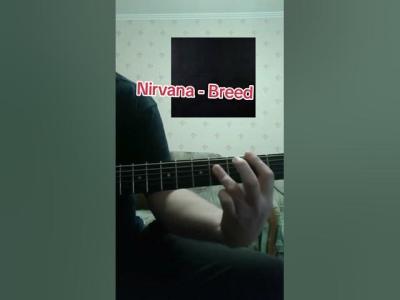 Breed nirvana guitar cover