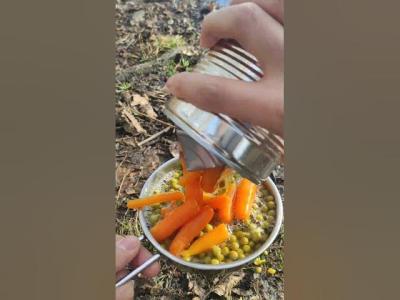 Camping Tips camper campfire viral camping shorts